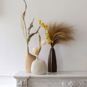 Les vases par <br/><small>Ashley Martin</small> 