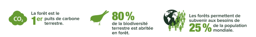 Importance des forêts pour le carbone et la biodiversité.