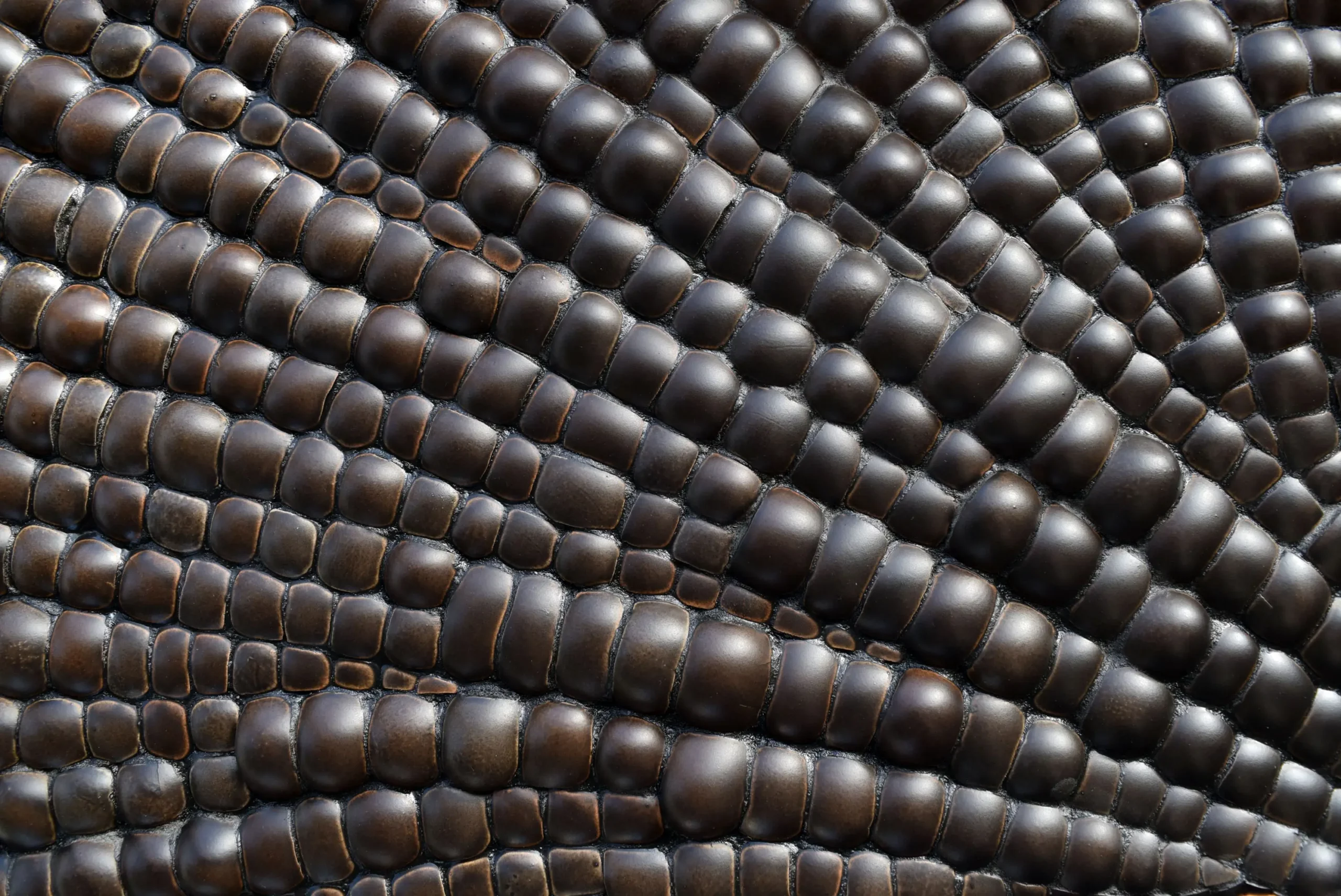 Texture de peau écailleuse et marron foncé